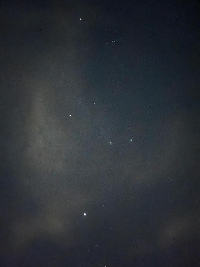 ホテル The Wild Khao Yai Klang Dong エクステリア 写真