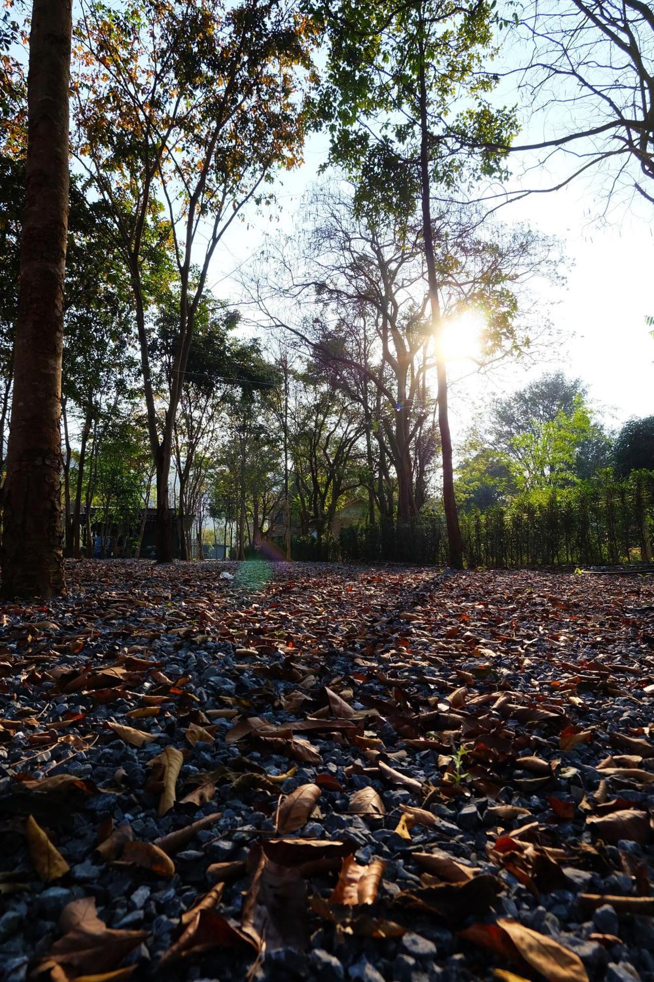 ホテル The Wild Khao Yai Klang Dong エクステリア 写真